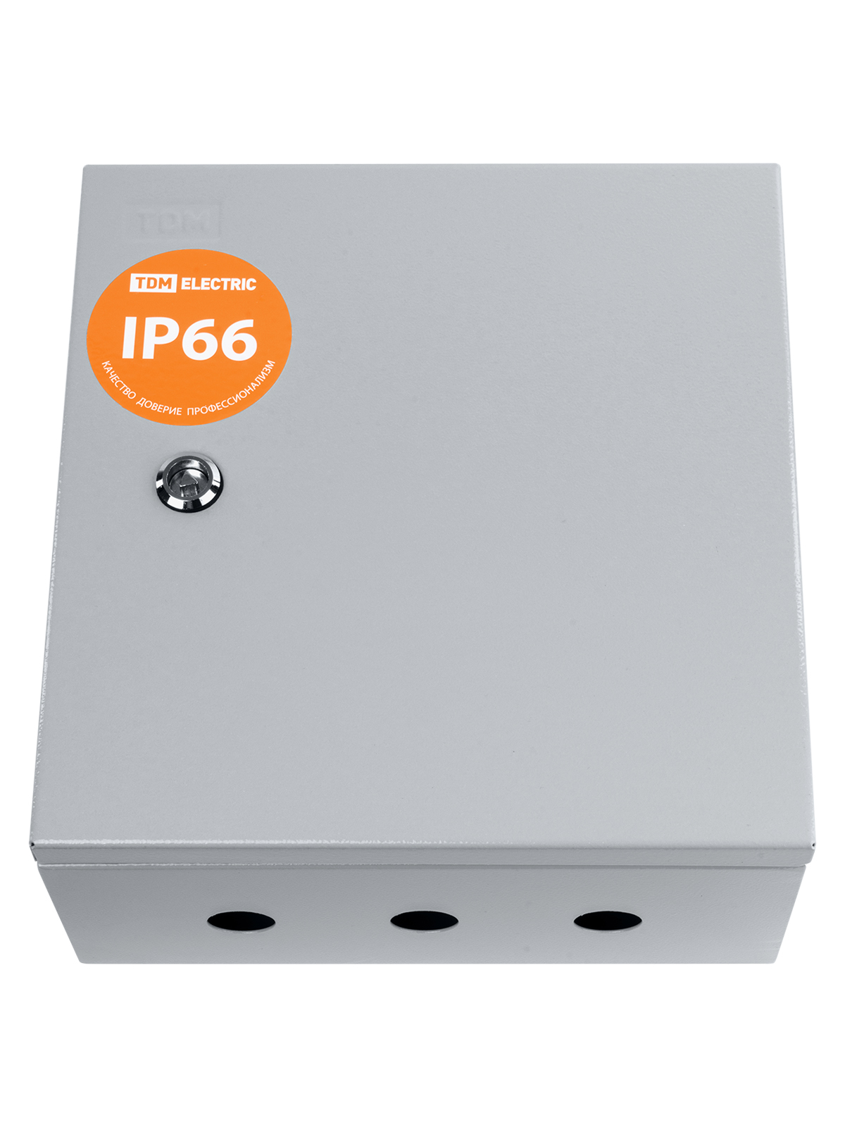 Корпус металлический ЩУ-1ф/1-1-6 IP66 (2 двери) (310х300х150) TDM