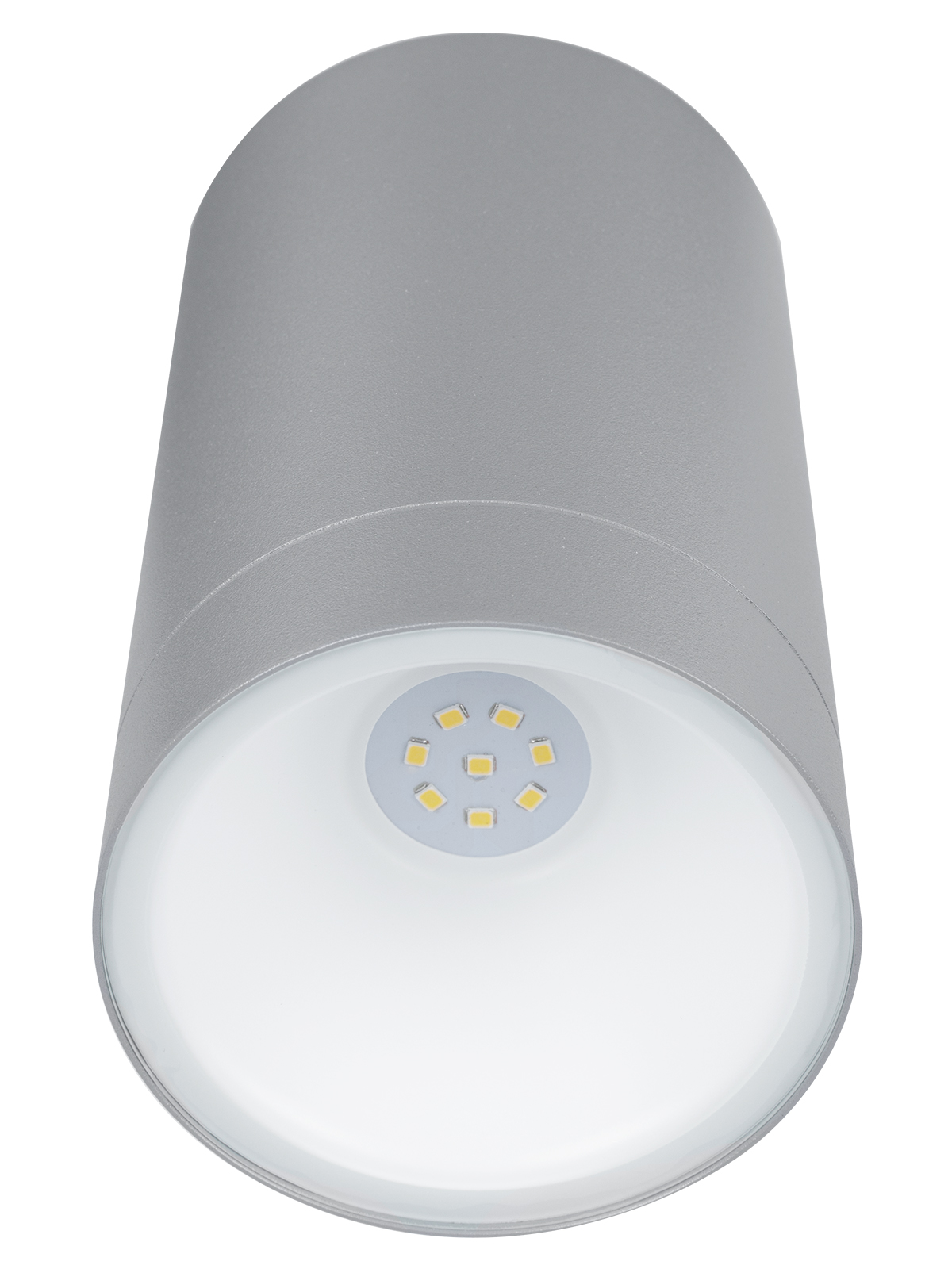 Светильник настенный LED, Соло, 6 Вт, 4000 К, H160 мм, алюм./сер., IP65, TDM